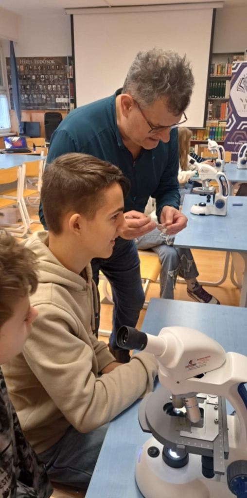 Sárvár vár ... projekt programja 