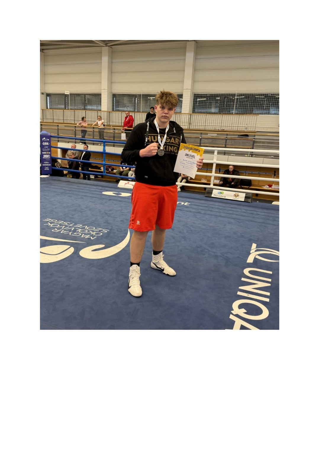 Bogdán Mátyás ezüst érmet szerzett az Ökölvívó Diákolimpián