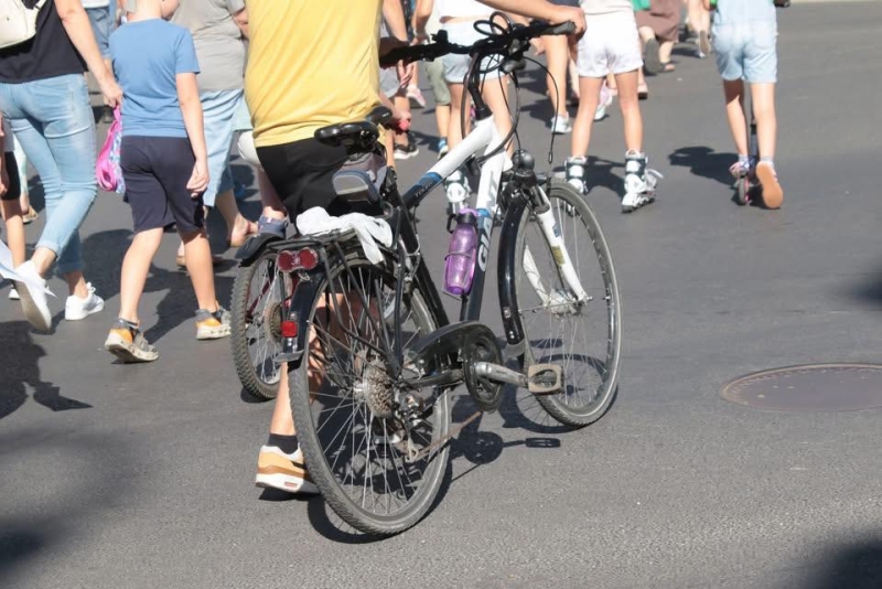 Sárvári Környezetvédő és Természetbarát Egyesület városi programja