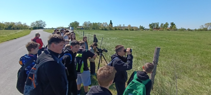 Egynapos kirándulás 7.b, 6.B, 5.A