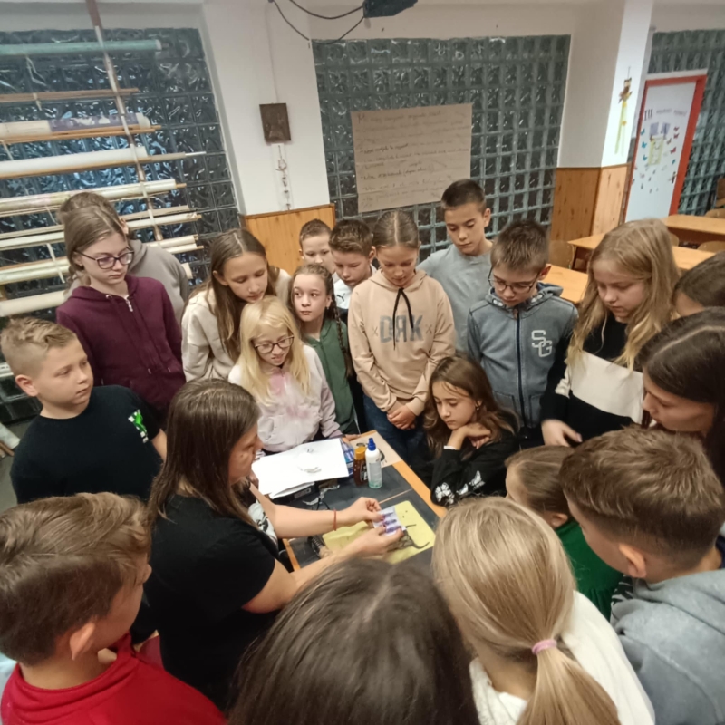 Pályaorientációs nap 