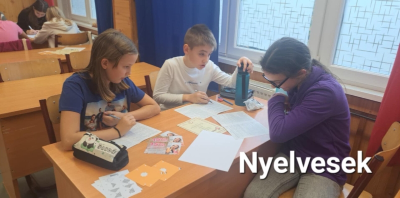 Bolyai Anyanyelvi Csapatverseny