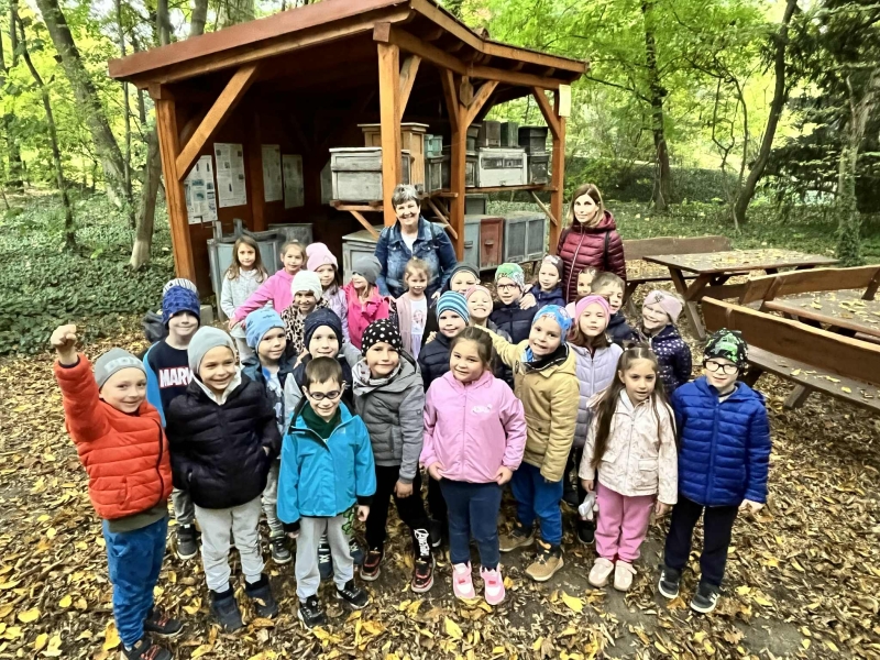 Pályaorientációs nap 