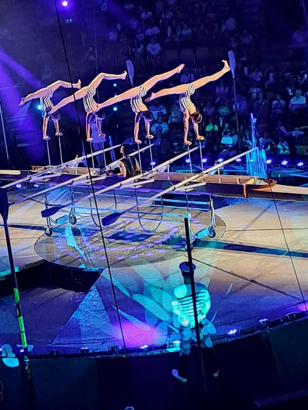 Kitűnő tanulók nagy "Csobbanása"