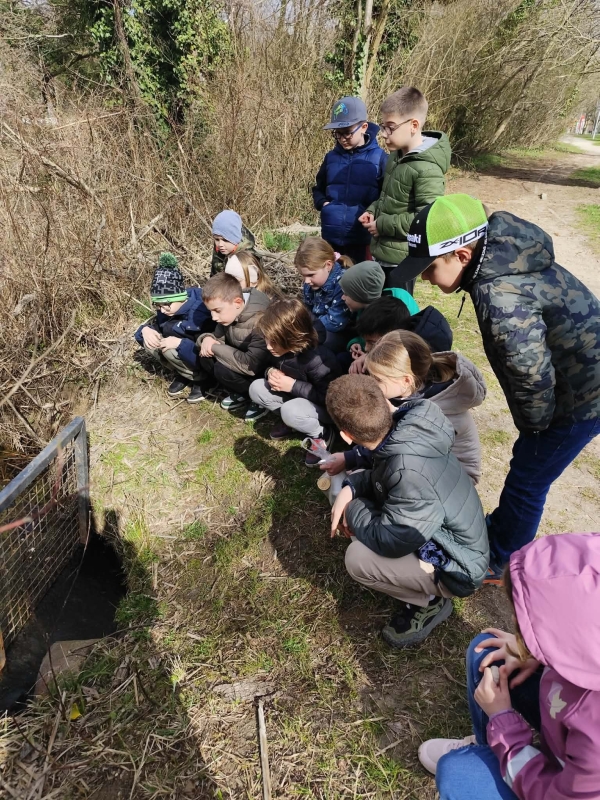 Egészséghét 2.rész