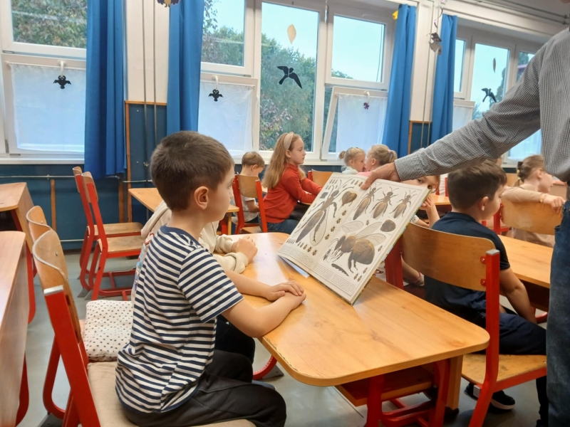 Pályaorientációs nap 