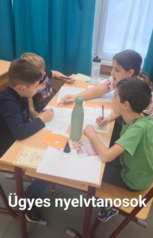 Bolyai Anyanyelvi Csapatverseny