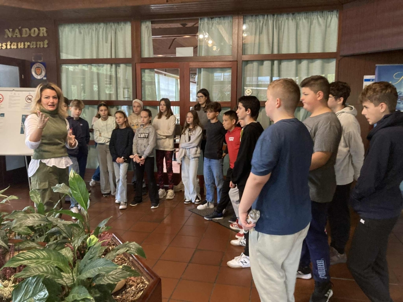 Pályaorientációs nap 