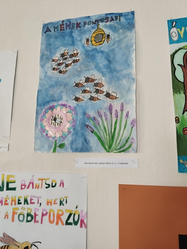 A méhek világa pályázat 2026