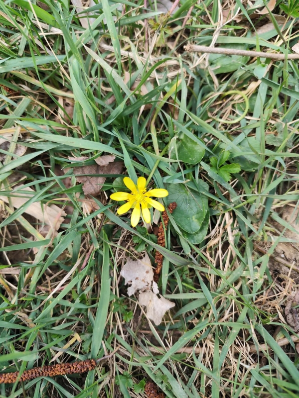 Egészséghét 2.rész