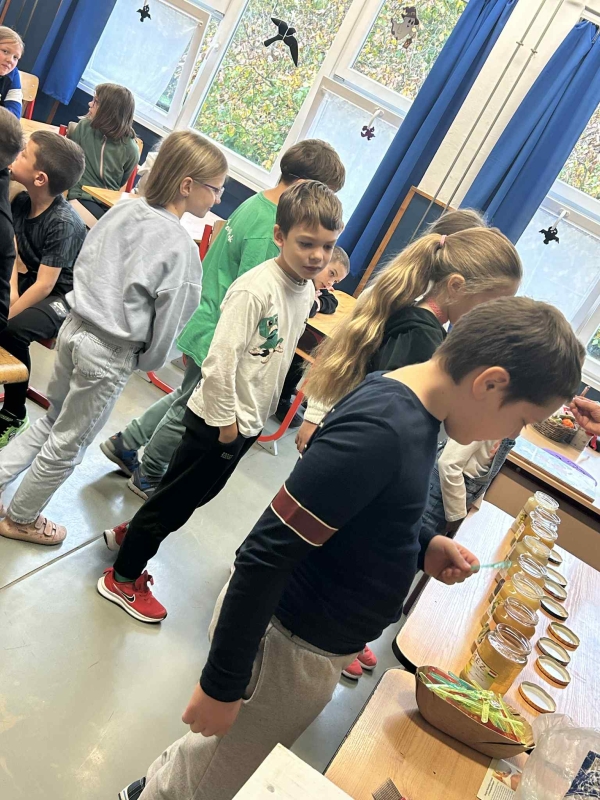 Pályaorientációs nap 