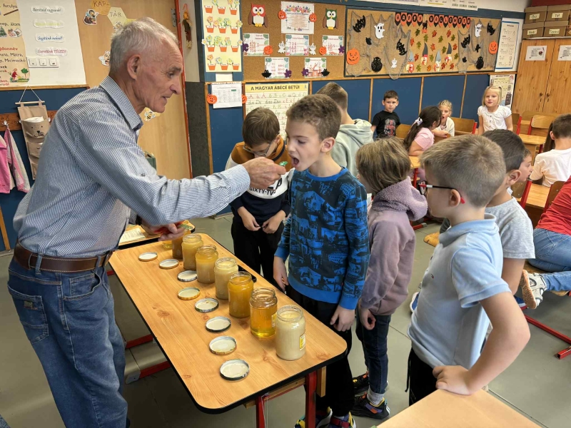 Pályaorientációs nap 