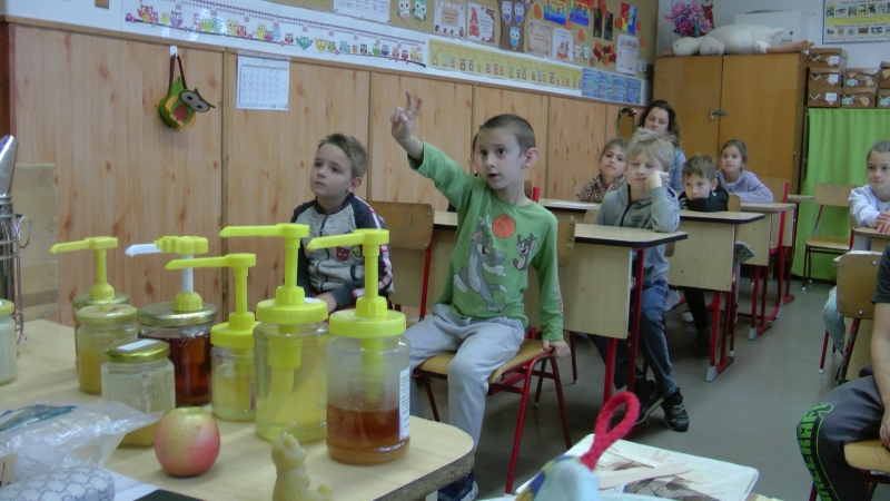 Pályaorientációs nap 